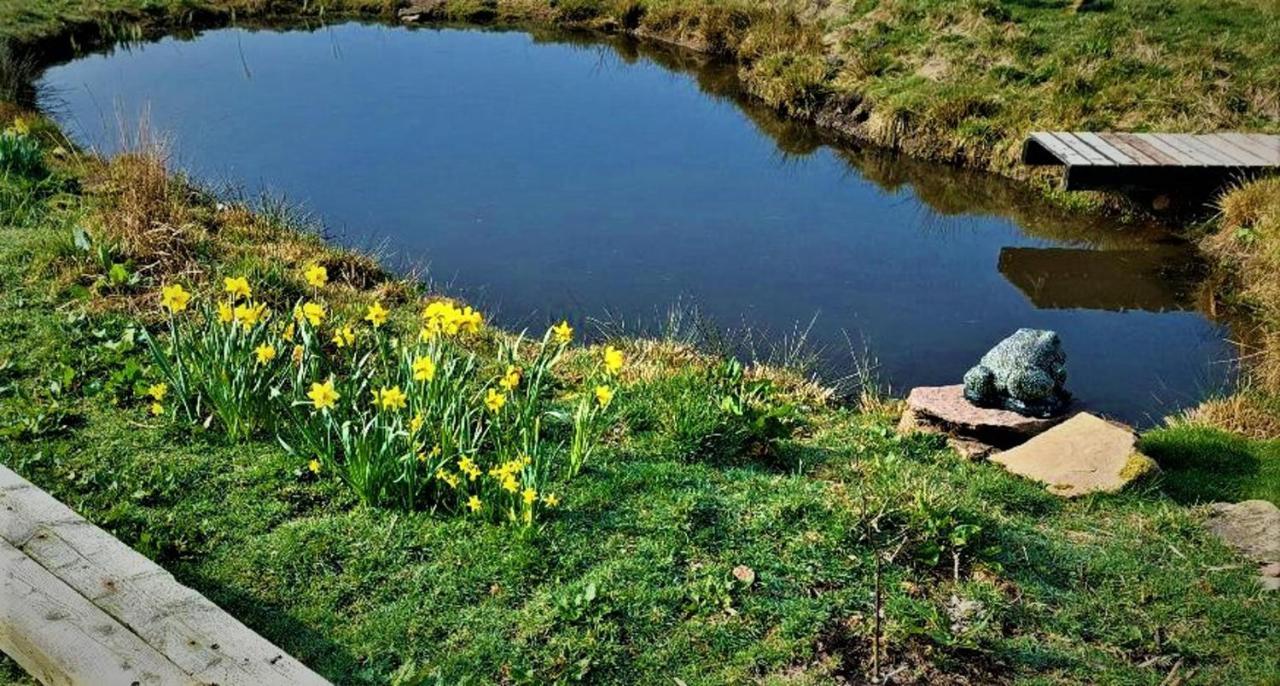 Peak District Cottage Set In 5 Acres Near Buxton Buxton  Exterior photo